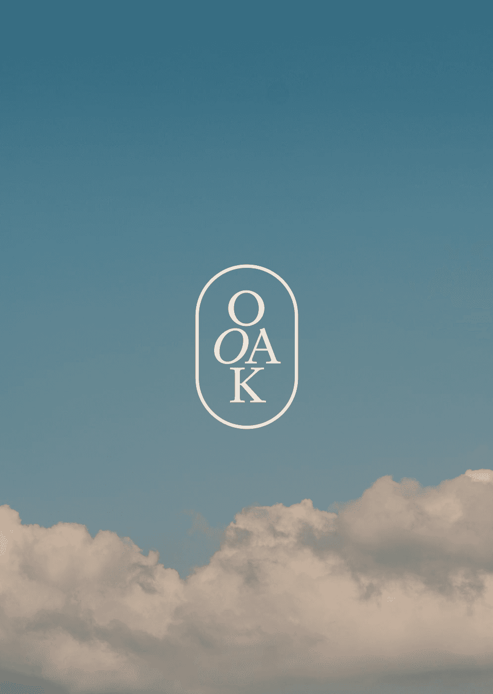 One of A Kind branding case image