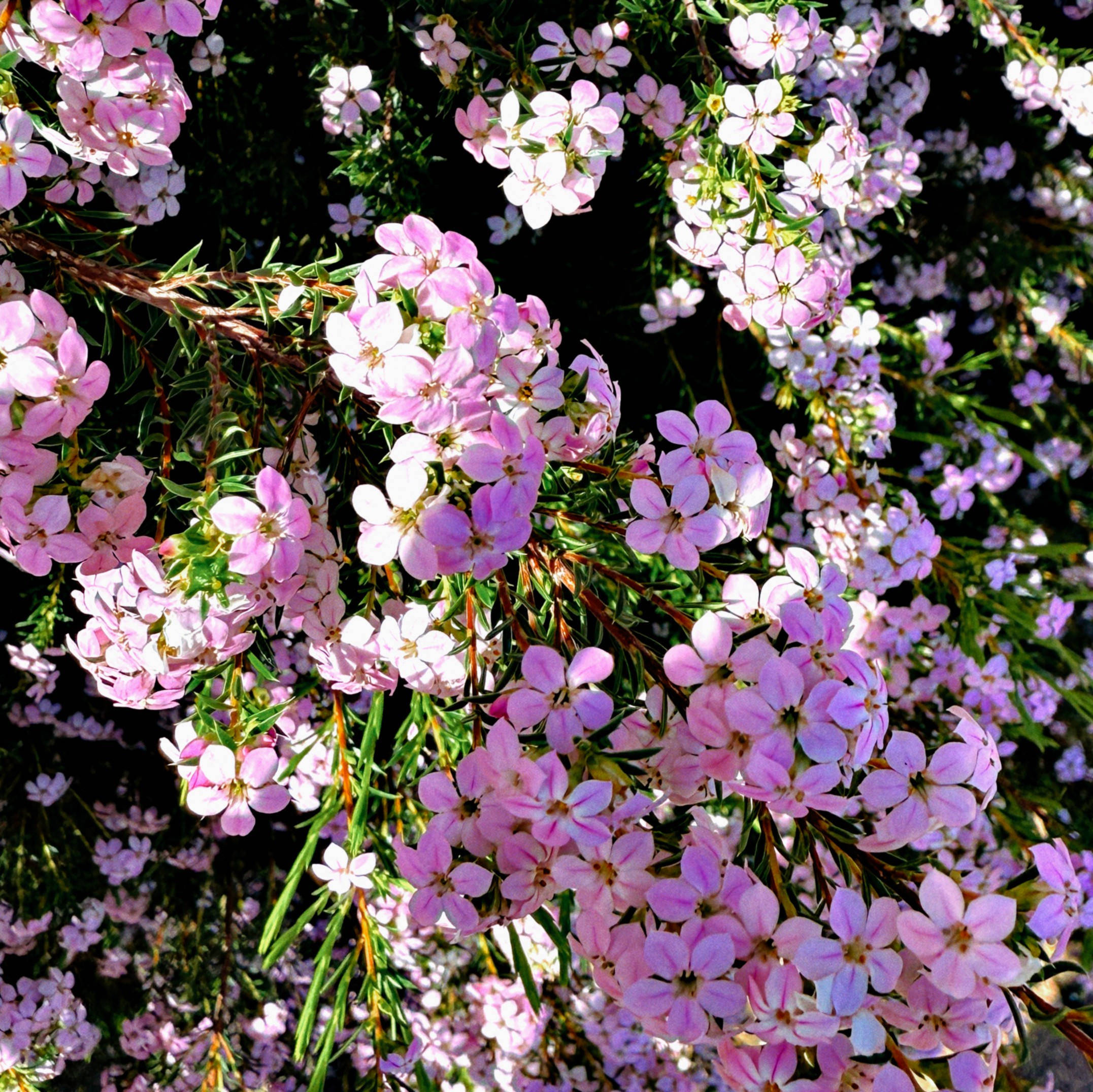 Outdoor Café Seating in a Sunlit Alley