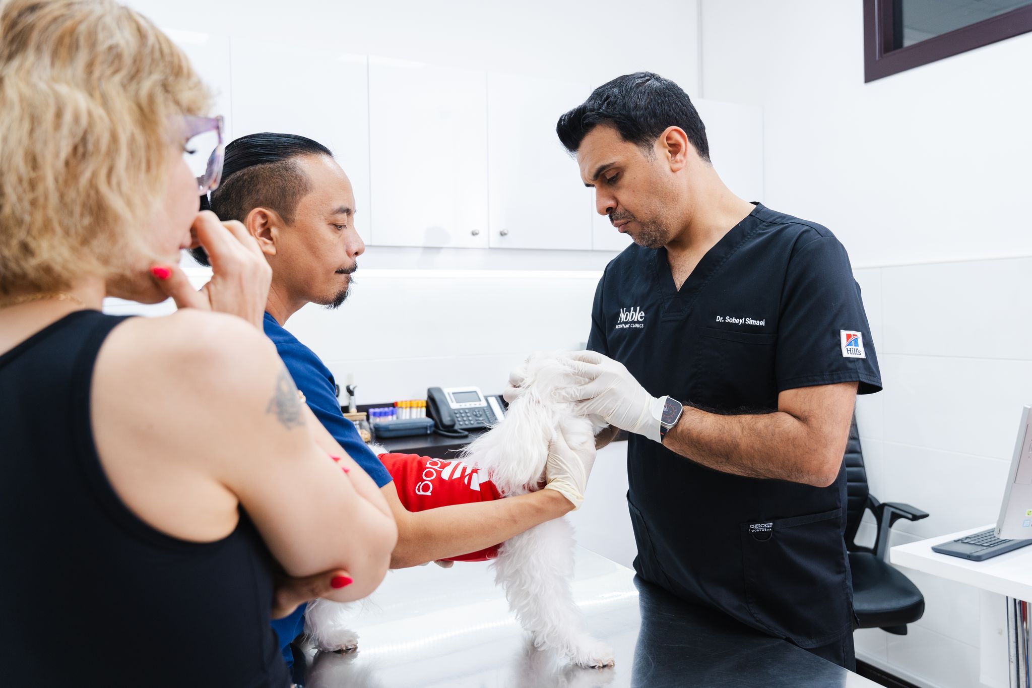 Two veterinarians are examining a white dog and advising a pet owner about what her dog can eat.