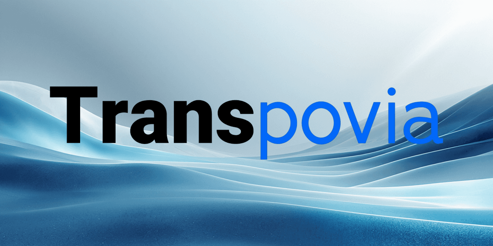 Transpovia: Seamless, automated airport transfer service offering precision and reliability.