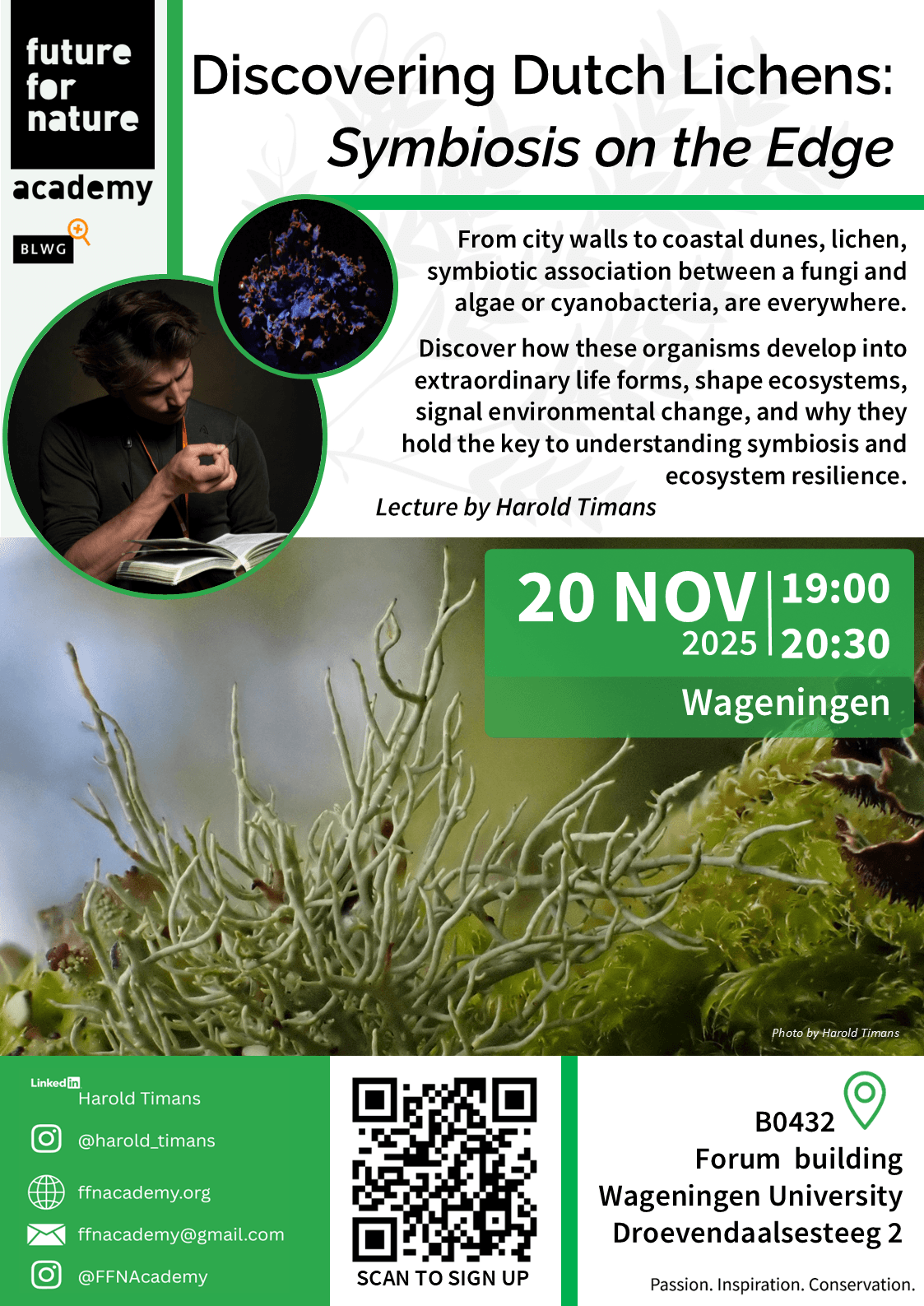 Descriptive Poster about the Mushroom Marvels Event.
