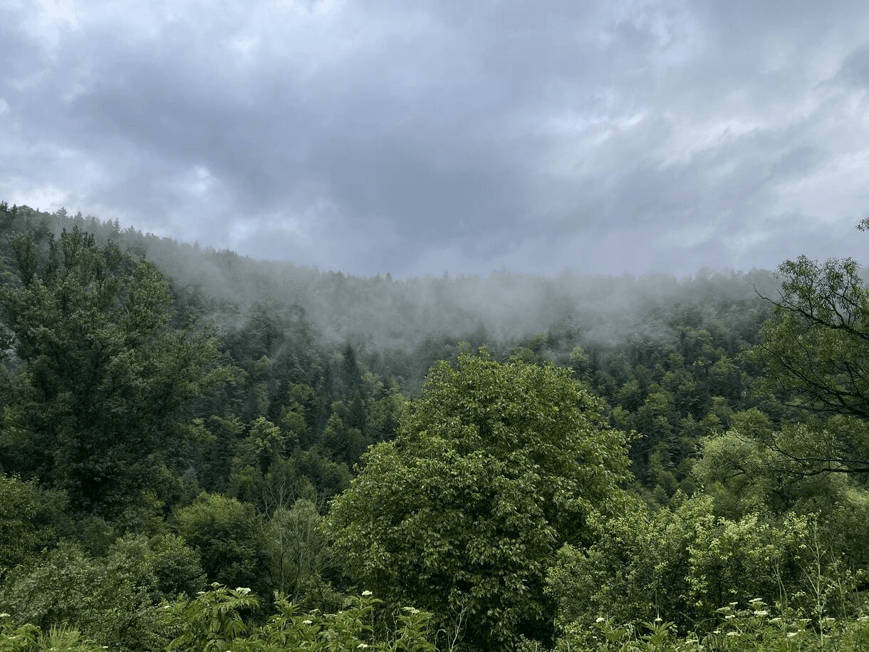 a person standing in front of a building