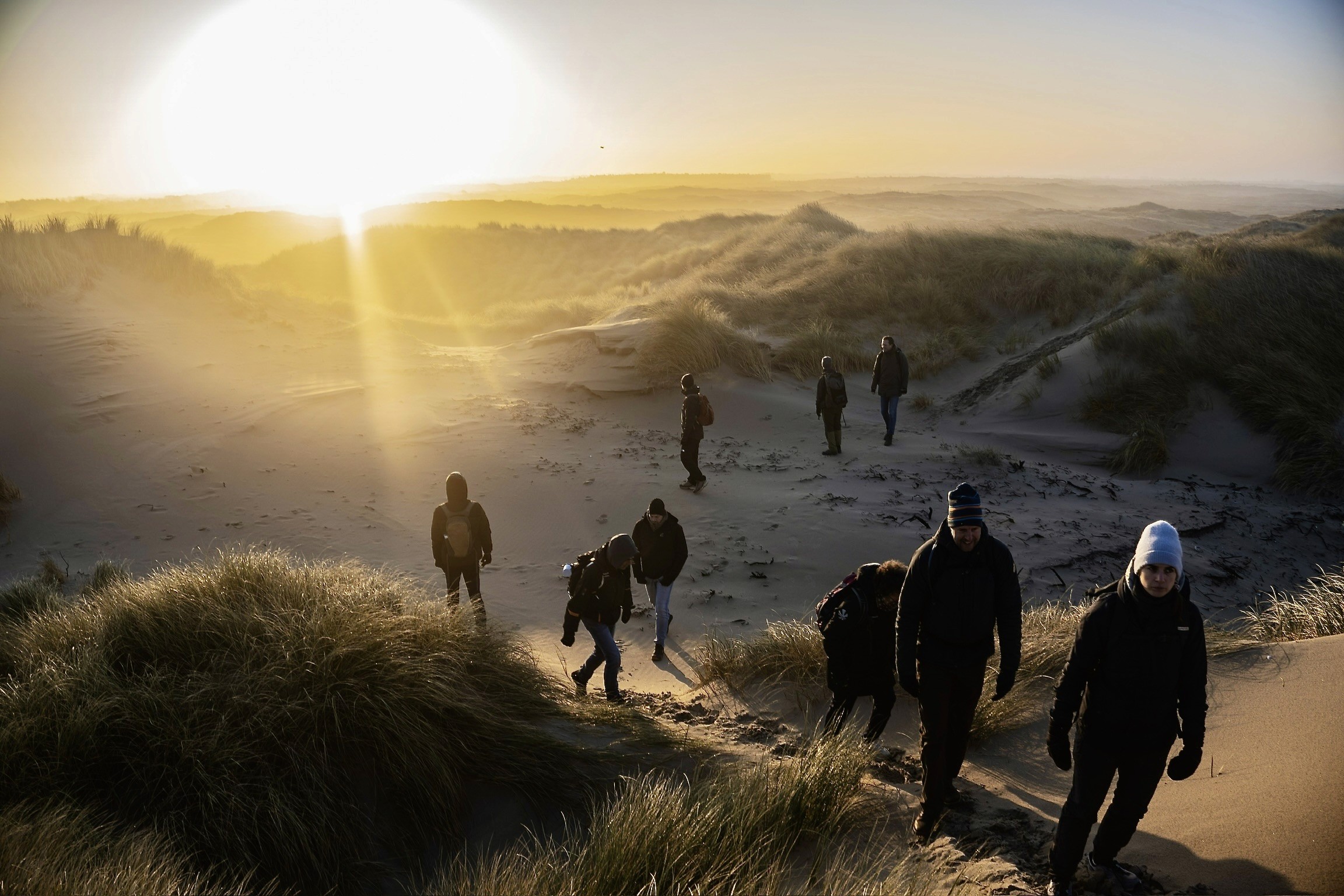 Group hiking trough dunes at sunset