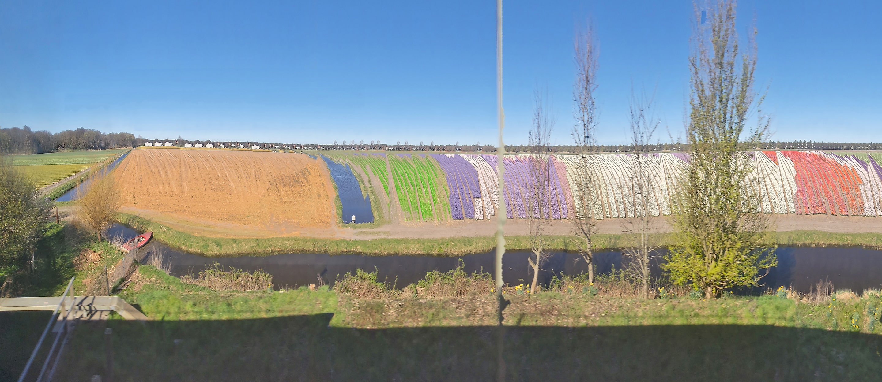 Panoramic photograph of colorful tulip fields divided into vibrant bands of orange, green, purple, white, and red under a clear blue sky. A canal and small boat run parallel to the fields, emphasizing perspective and motion across the serene Dutch landscape.