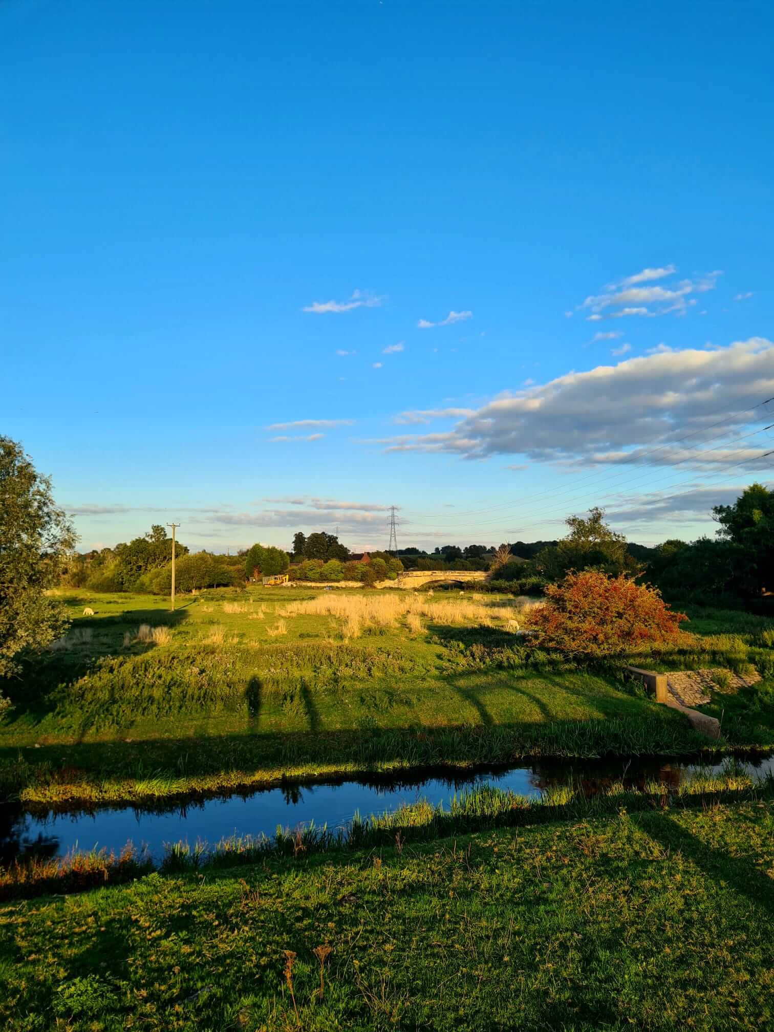 clean river benefits from septic tank upgrade