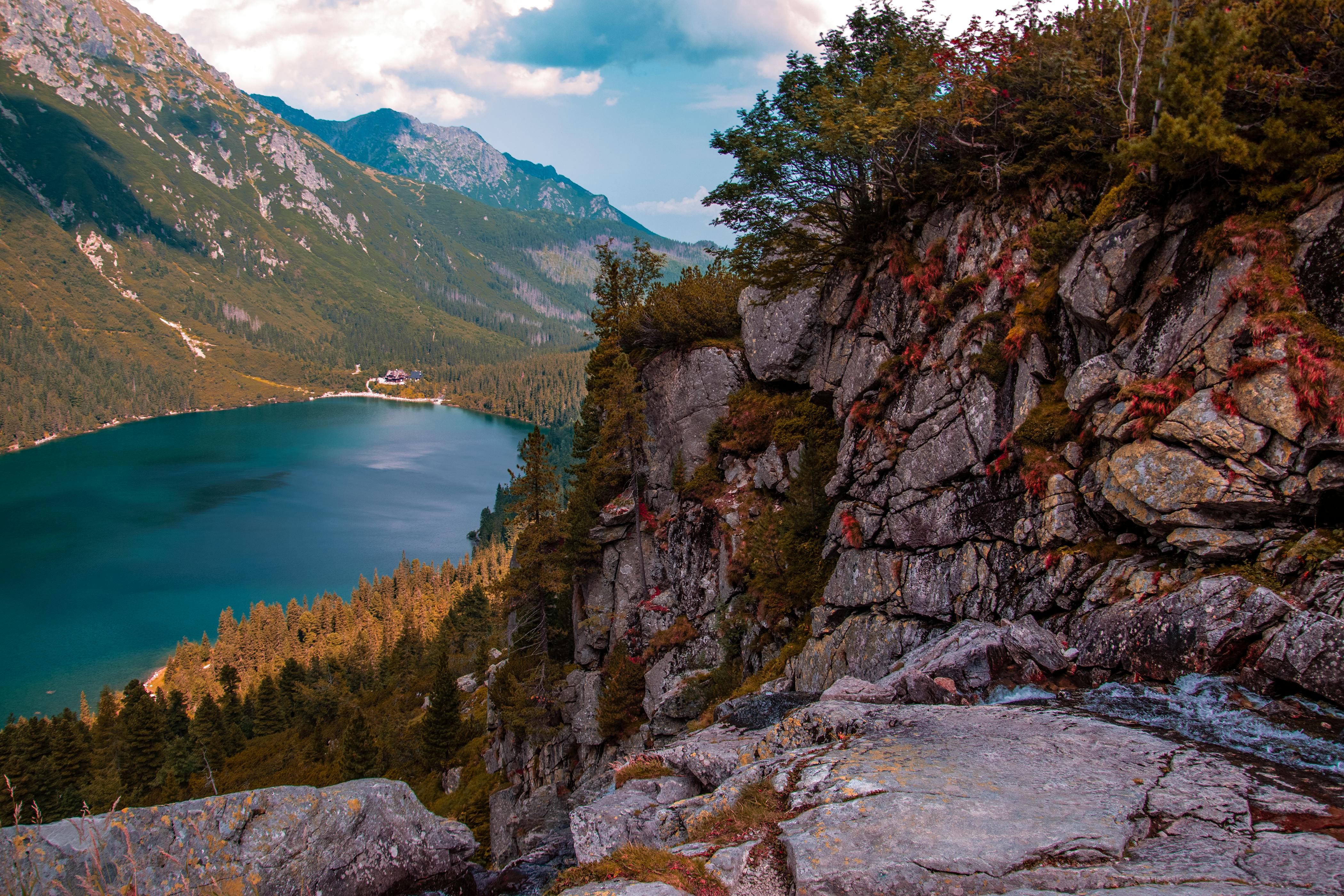 mountain landscape with autumn foliage