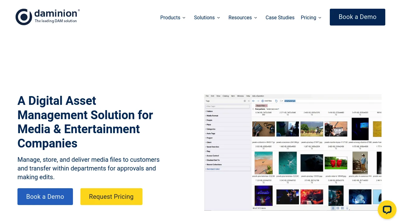 Screenshot of the Daminion website presenting digital asset management software for teams