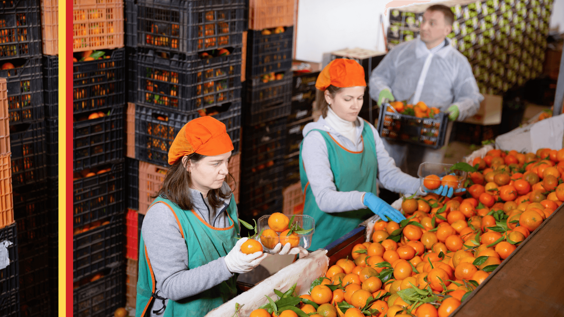 We need to build a resilient 3PL fulfillment system against uncertainities by using AI and human effort strategically.