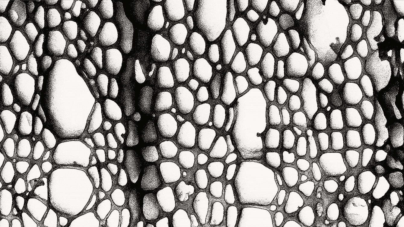 The image featured at the top of the about us page #2