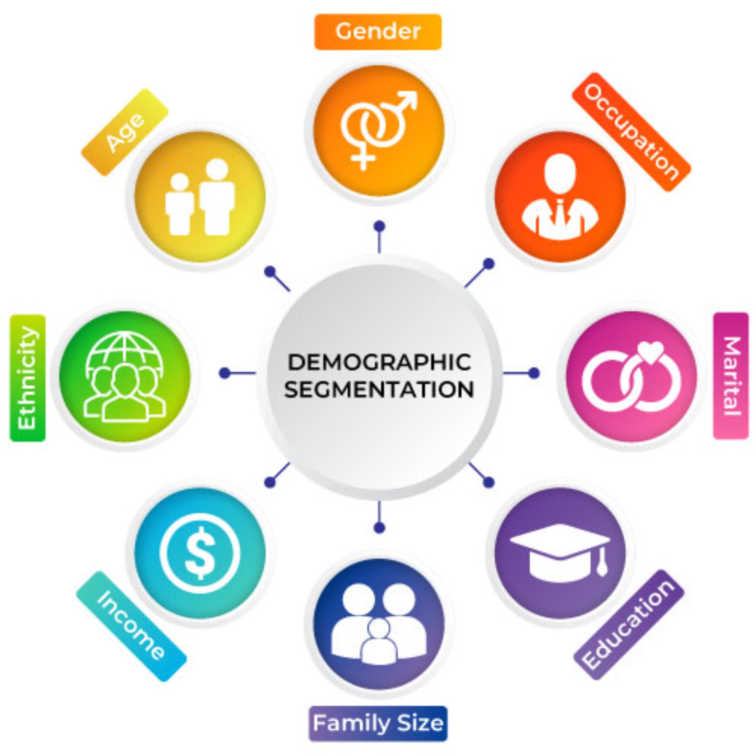 Demographic Segmentation – A colorful infographic detailing key demographic segmentation factors, including gender, occupation, age, marital status, education, family size, income, and ethnicity. These segments help businesses target customers more effectively.