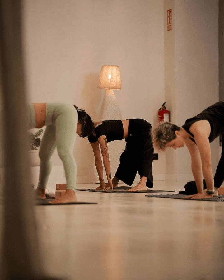 Cours collectif en cours dans un studio Nepita