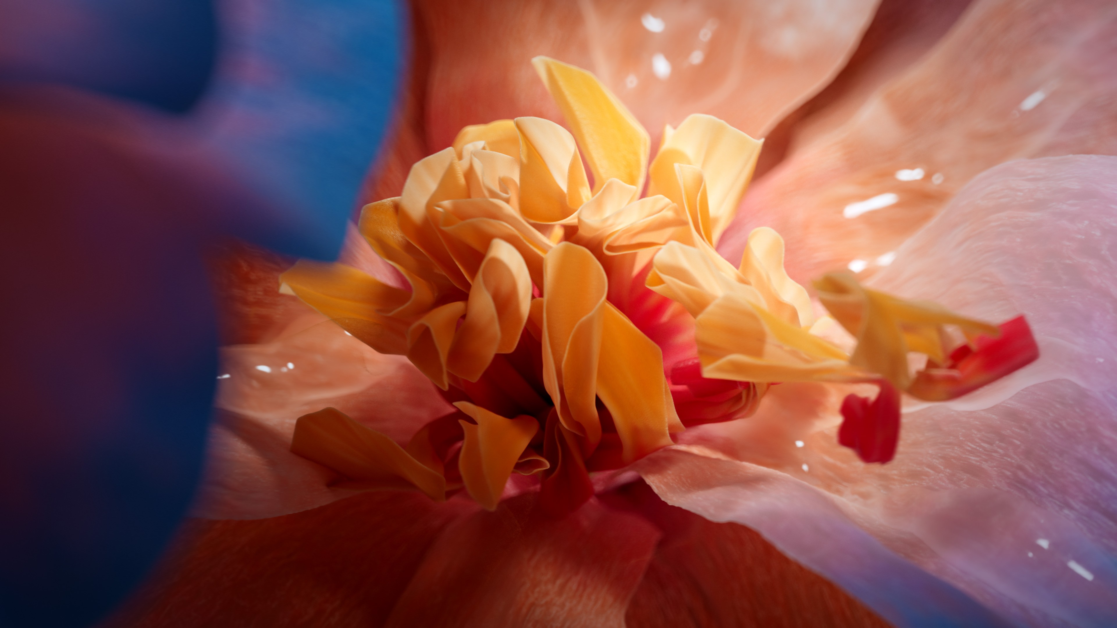 Streetside billboard with flyposters of the Batch.Works brand and illustrations