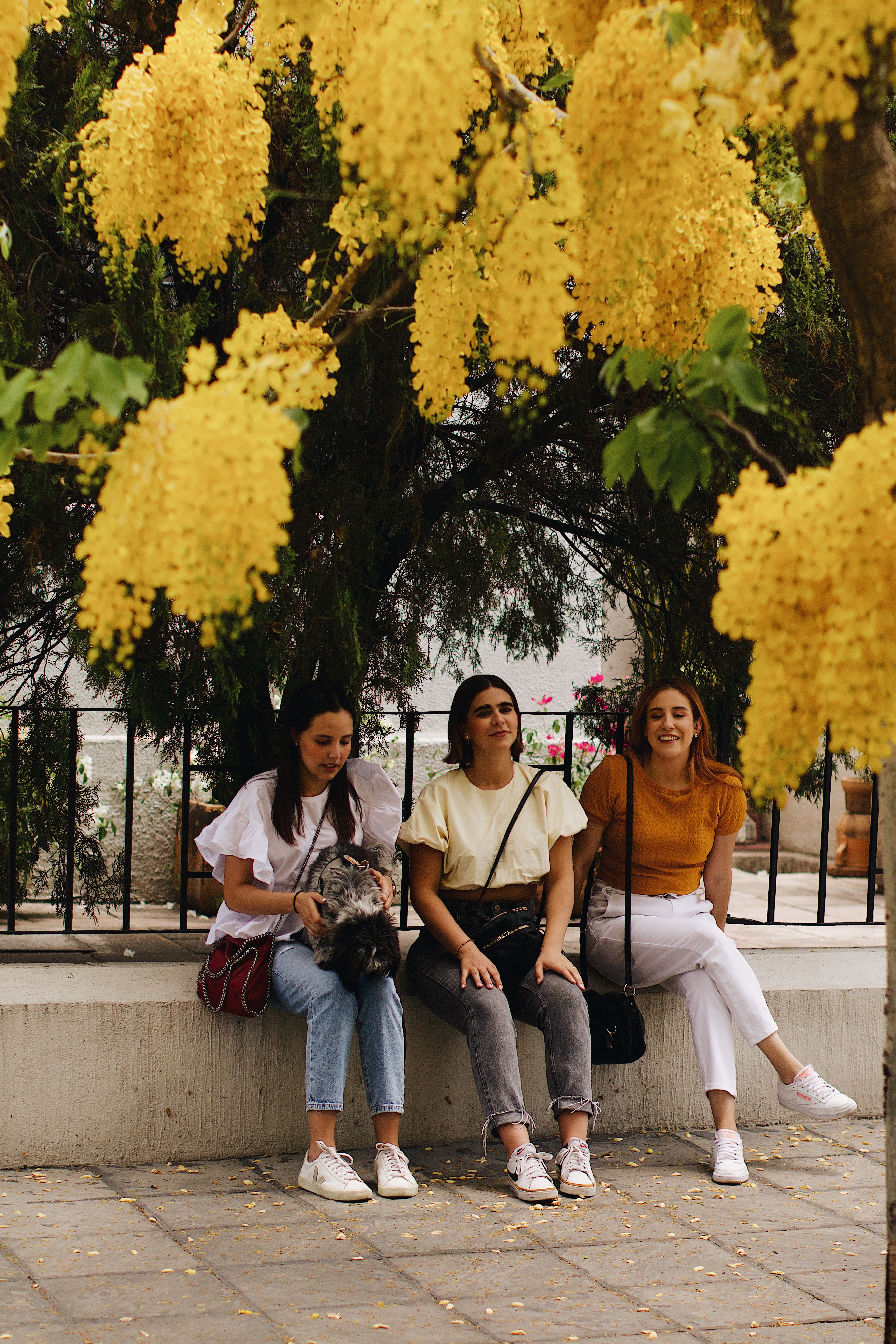 Tres amigas sentadas bajo un árbol de flores amarillas, acompañadas de un perro.
