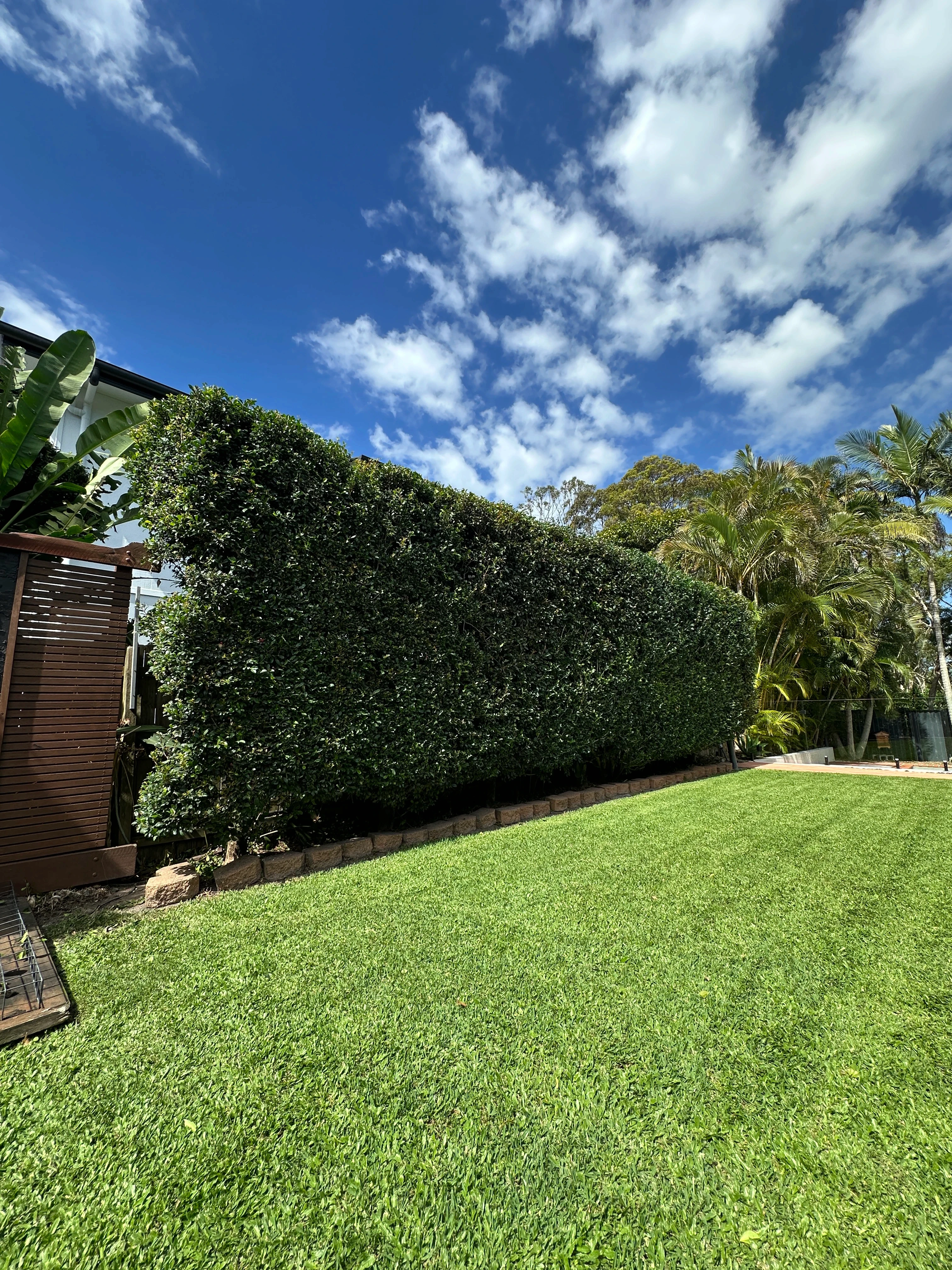 Garden maintenance services Ewingsdale