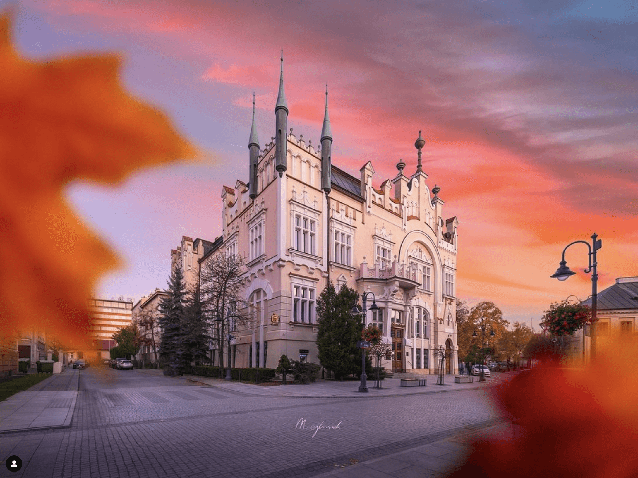 Podstawione liście, autor Mateusz Głuszek, Rzeszów, woj. podkarpackie