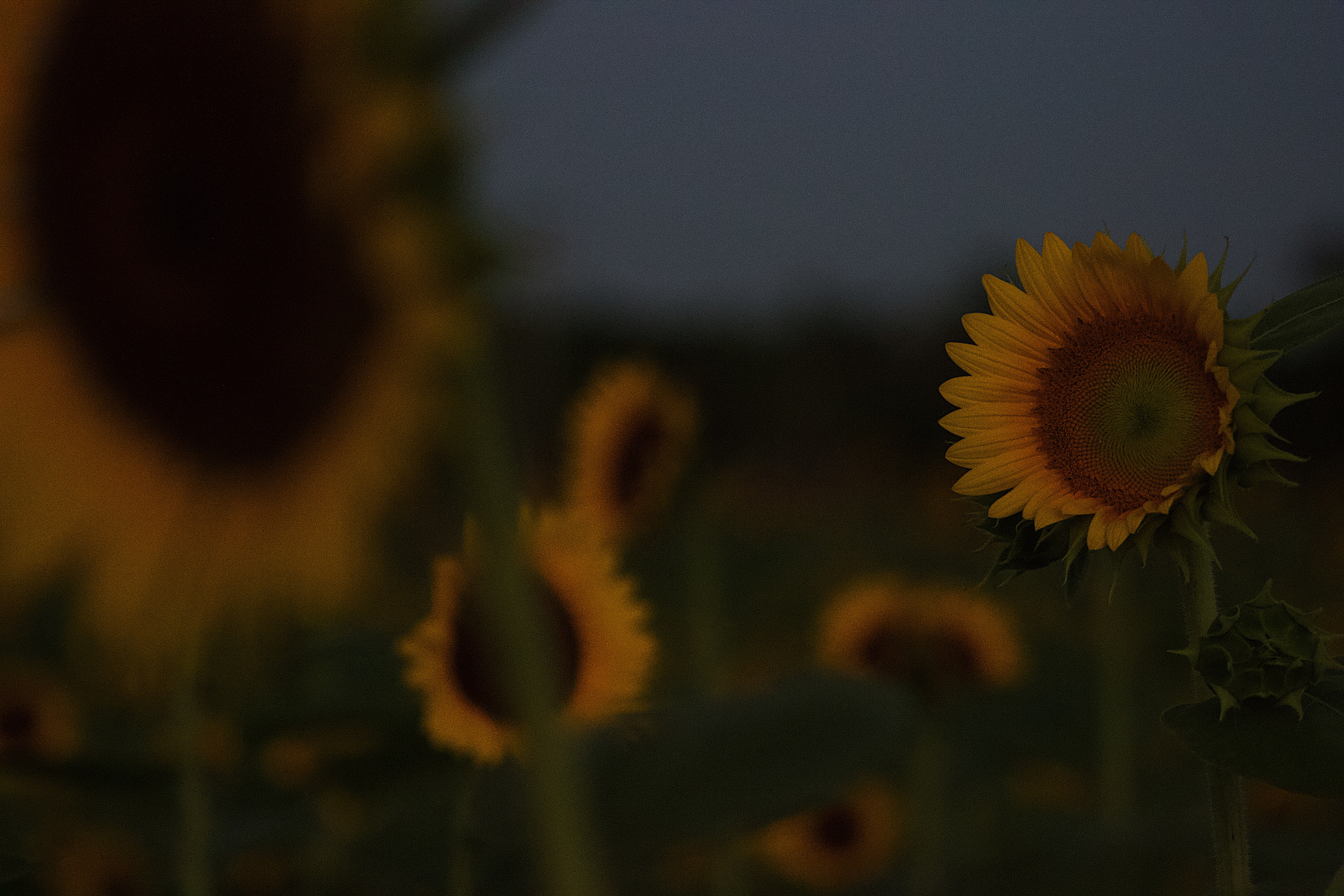 cinematic scene