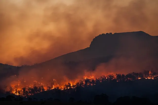 Incendio forestal avanzando de noche por una ladera de monte, con el cielo teñido de humo naranja, el tipo de siniestro que Allianz busca detectar antes con IA y satélites