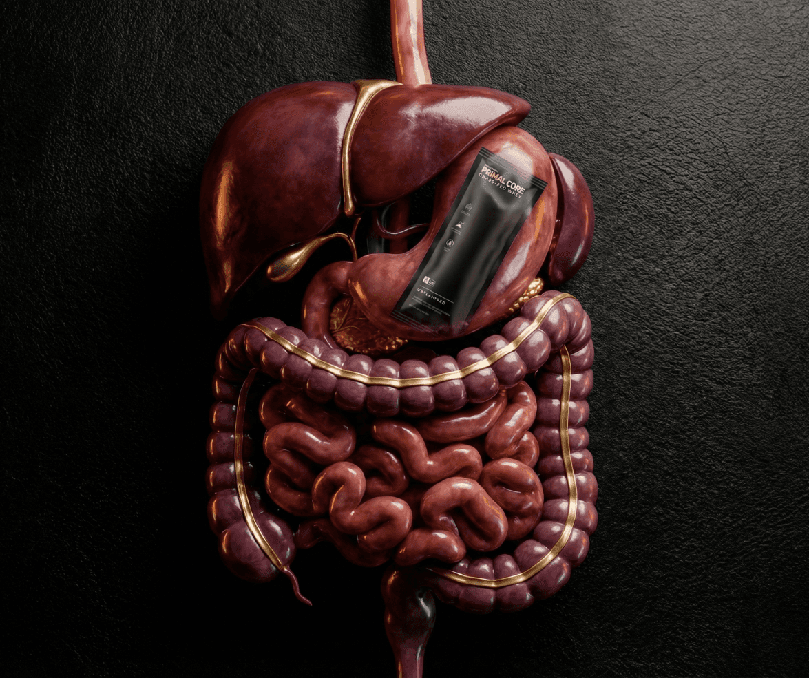 Stop the bloating and boost your energy. Discover why clean, grass-fed whey is the best choice to build muscle and feel your best after 40. Read the full guide. Clean Whey & Gut Health 2025: The Ultimate Protein Guide for Women