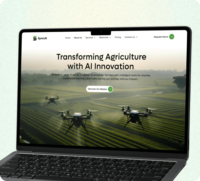 Artonest B2B syncult Project Dashboard