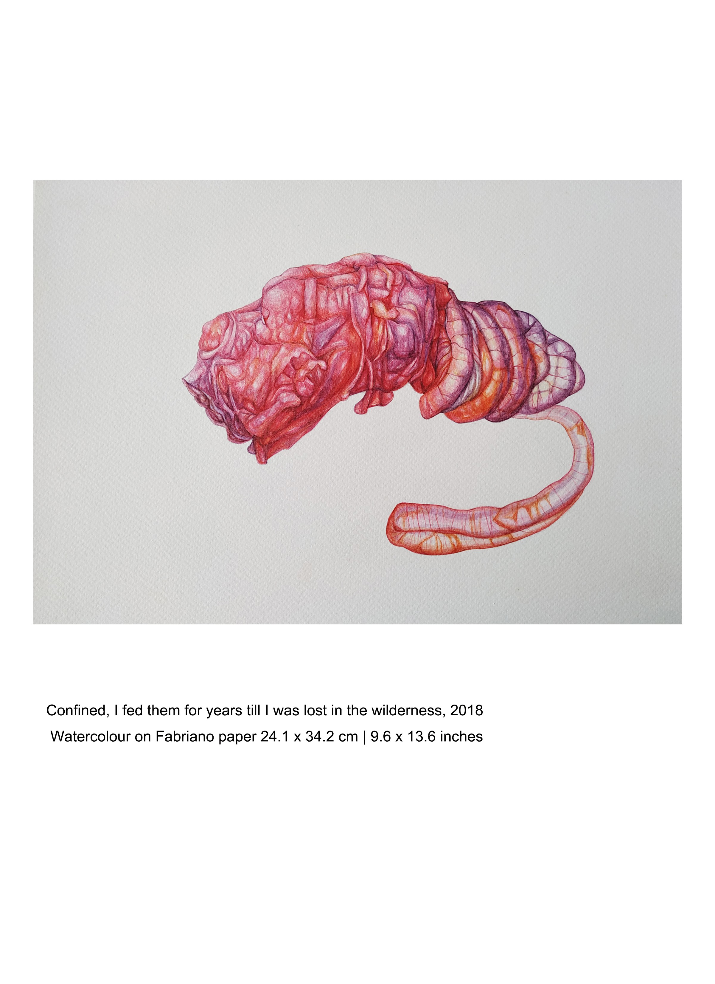 herd of sheep on road painting