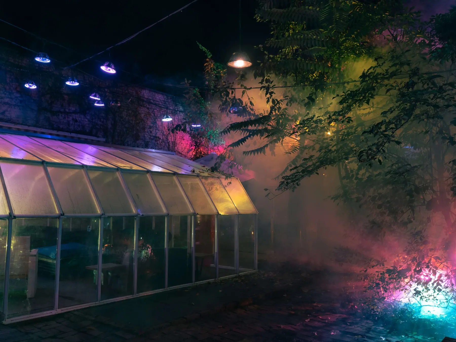Gewächshaus im Garten bei Nacht mit Nebel und farbigem Licht
