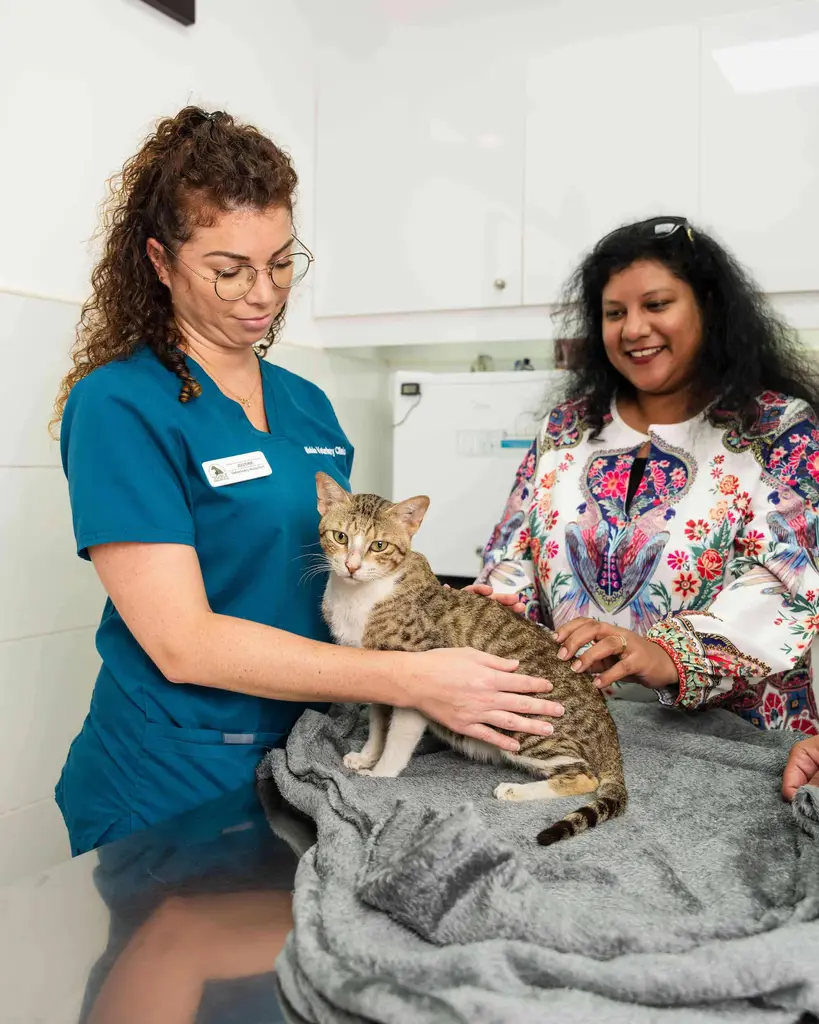 Our veterinary staff member prepares a cat to board in our secure and comfortable facility.