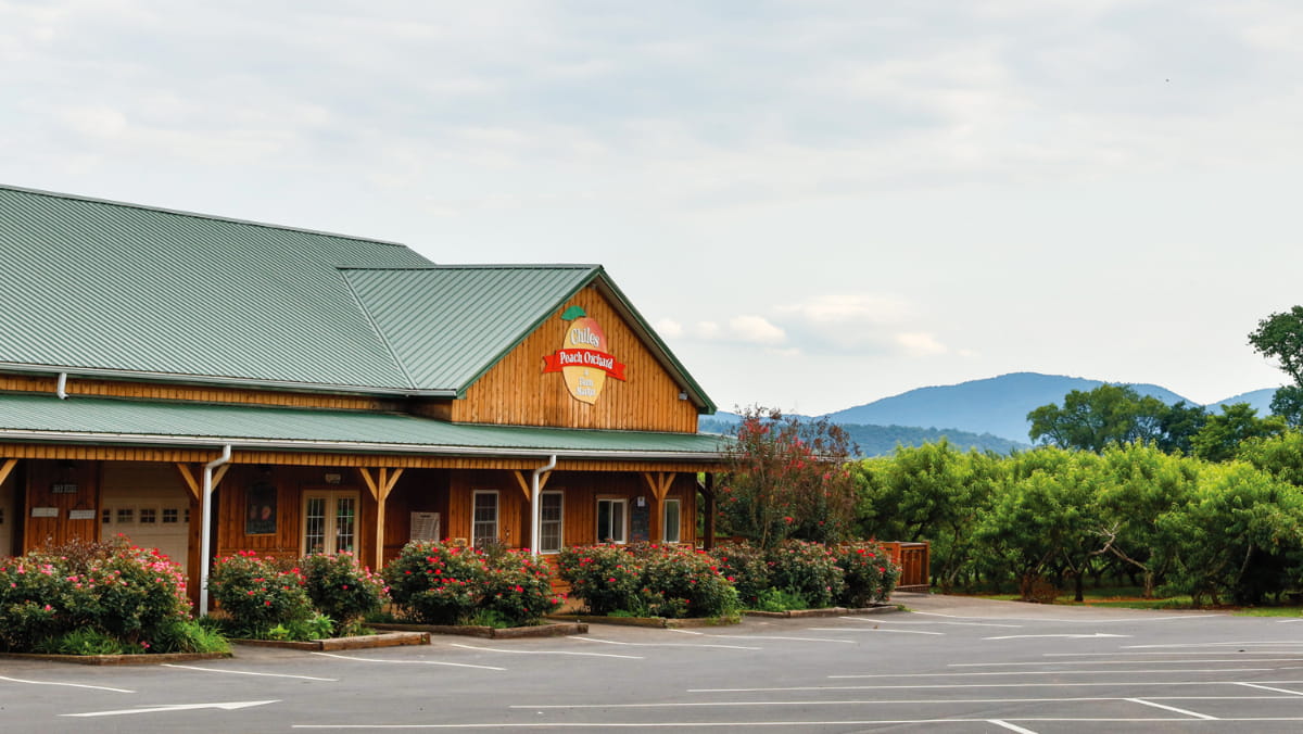 Visit Chiles Peach Orchard in Crozet Virgina