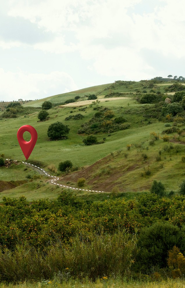 Location Image