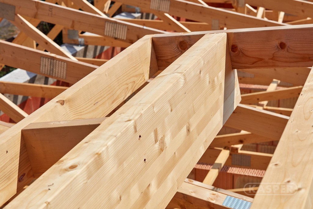 a tree with many leaves