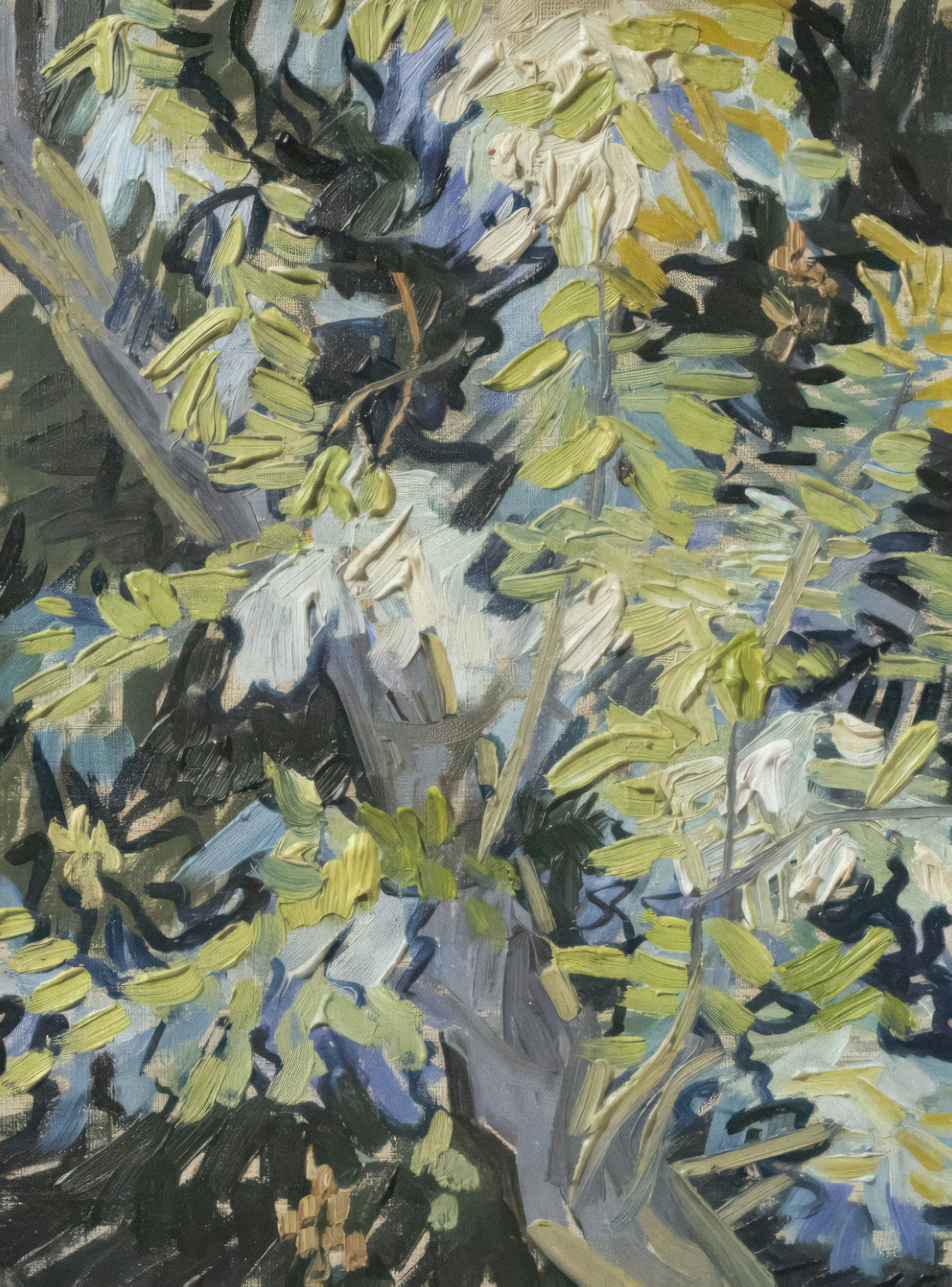Tangled Branches and Foliage