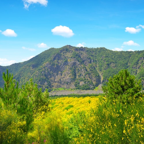 维苏威火山和庞贝：免排队门票 + 从萨莱诺往返票