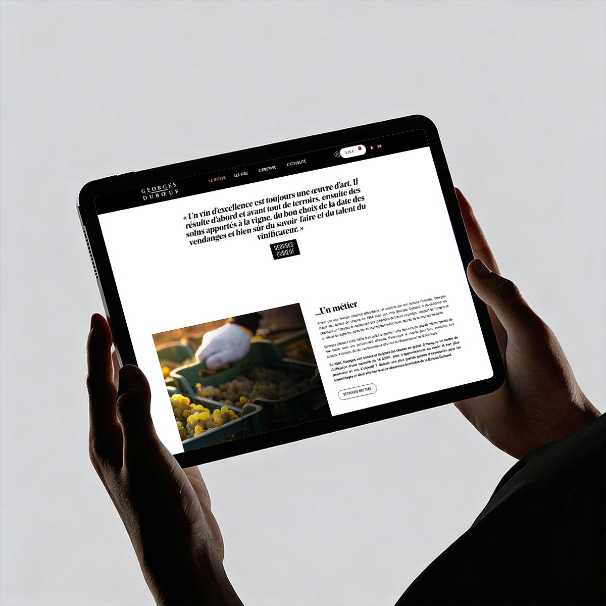 Projets Site Web Wordpress