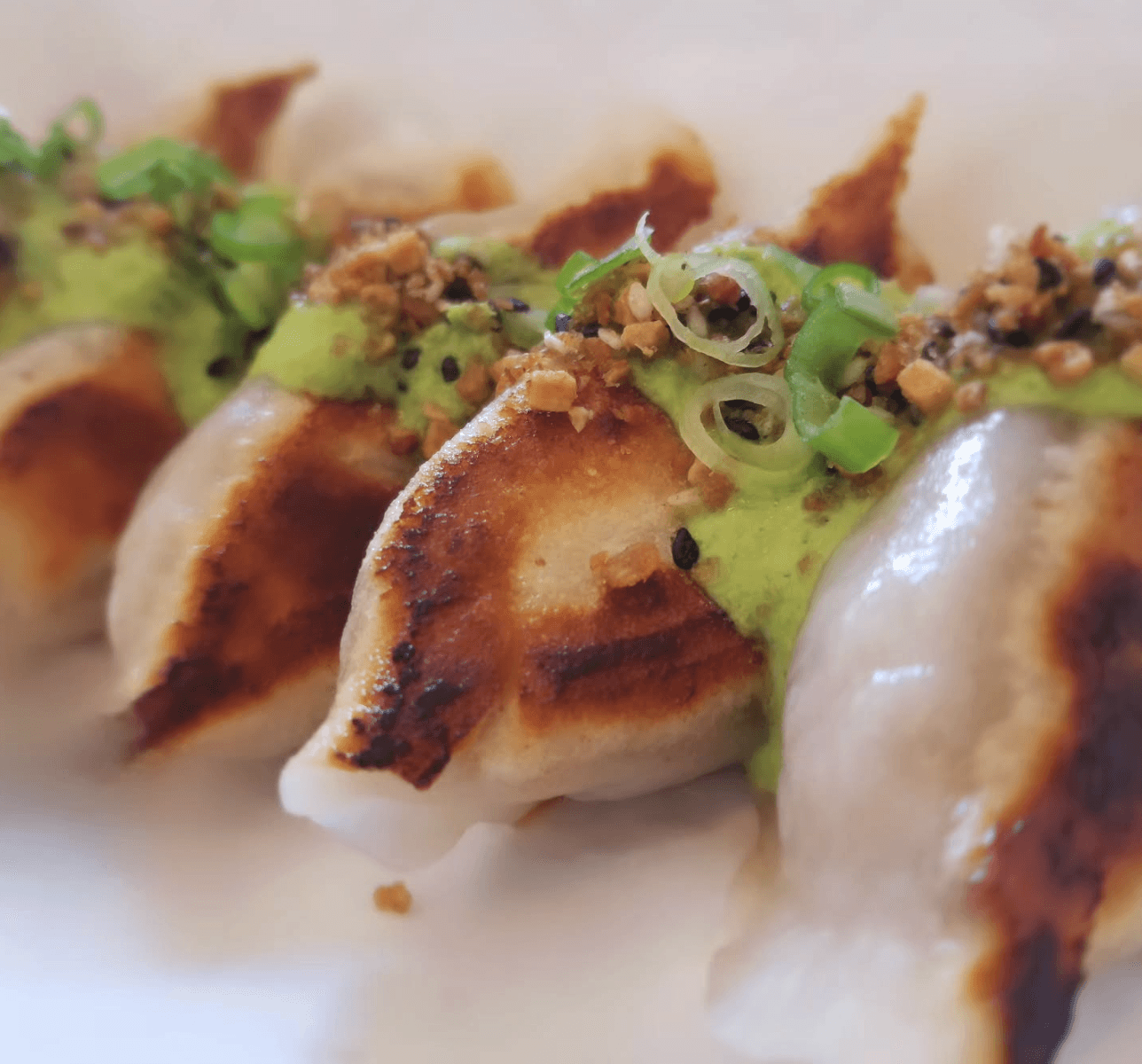 Juicy Pork Dumplings, East WInd Snack Shop, Brooklyn's Best Dumplings