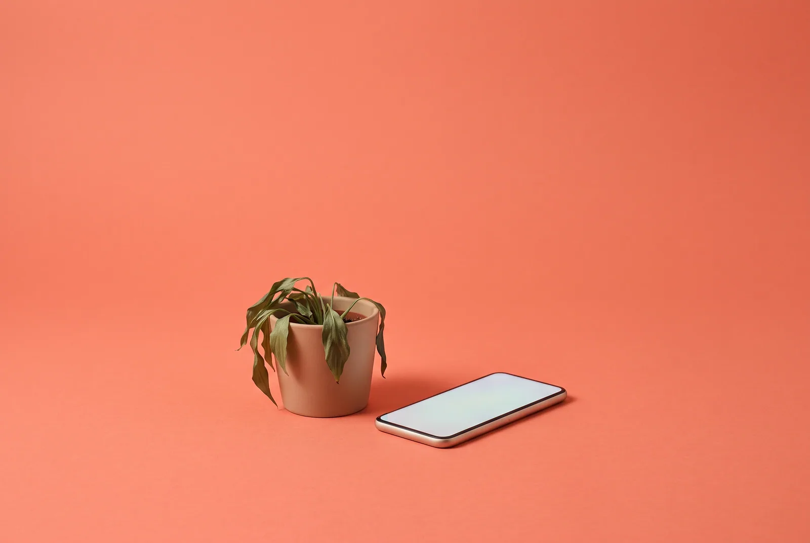 Wilting houseplant beside a glowing phone, a symbol of warning signs of compulsive porn use in teens