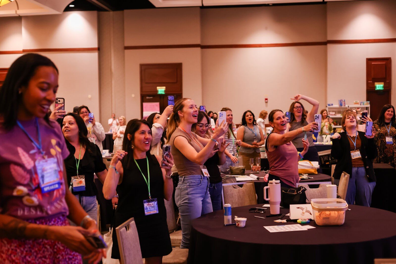 Desert Days, attendees on their feet filming the stage