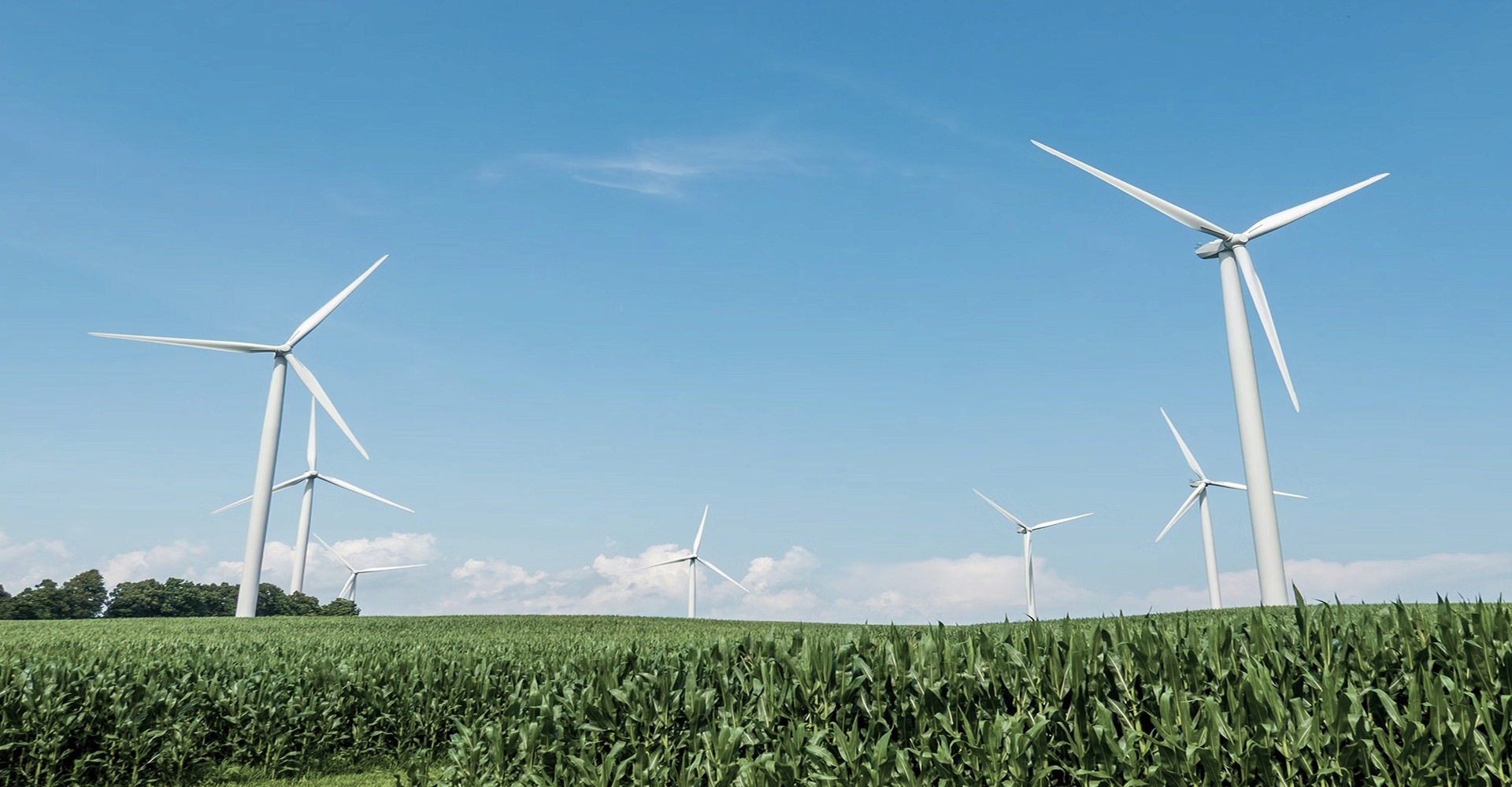 How much can you really save with solar?