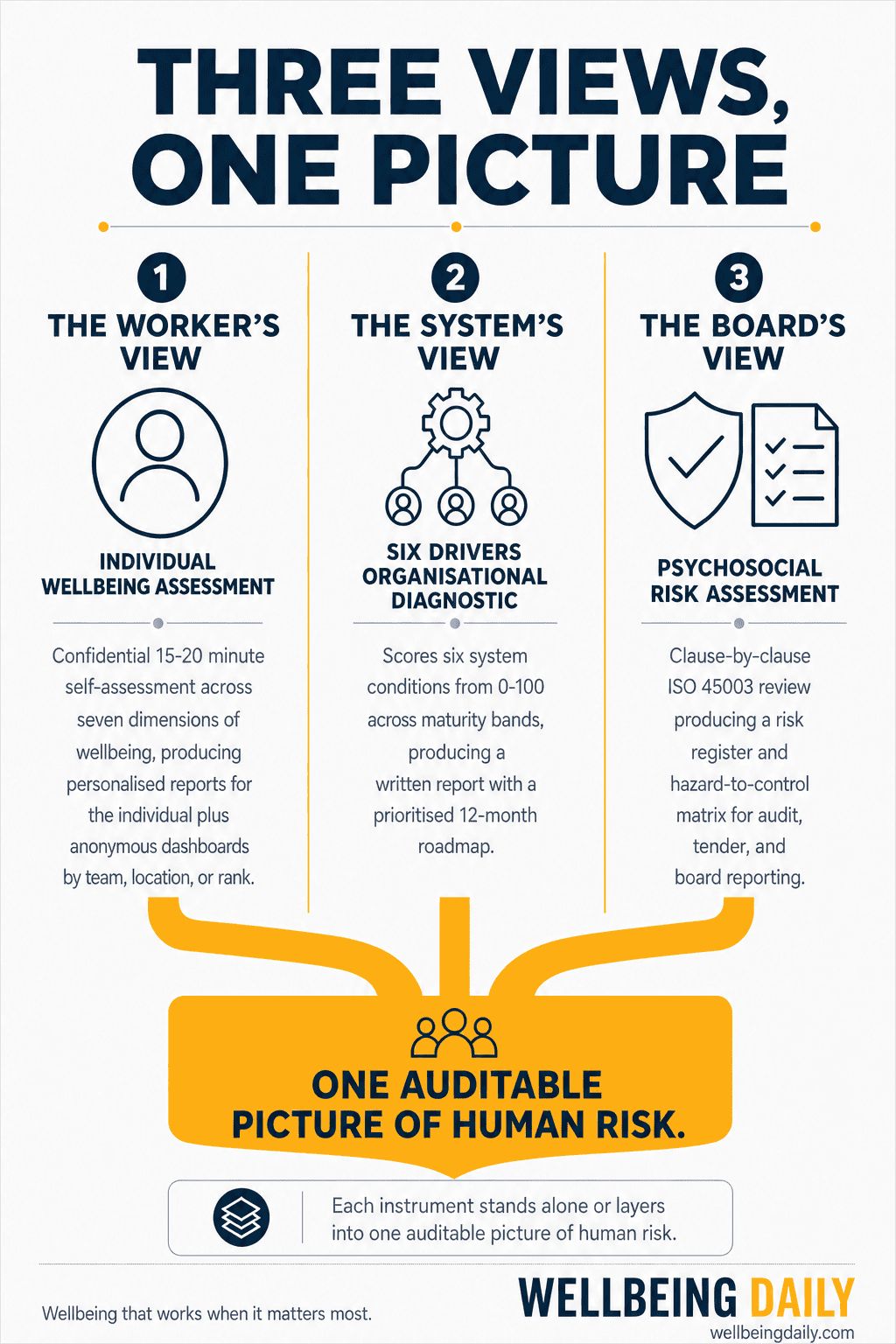 Wellbeing Daily's wellbeing diagnostic assessments measuring the worker view, the system view and the board view of workplace wellbeing and performance.