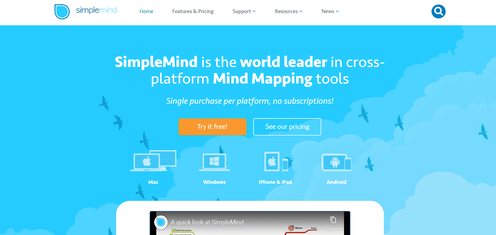 SimpleMind Pro