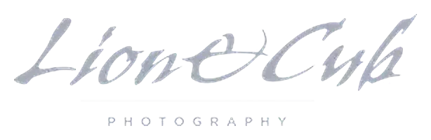 lion-and-cub-photography-logo-black