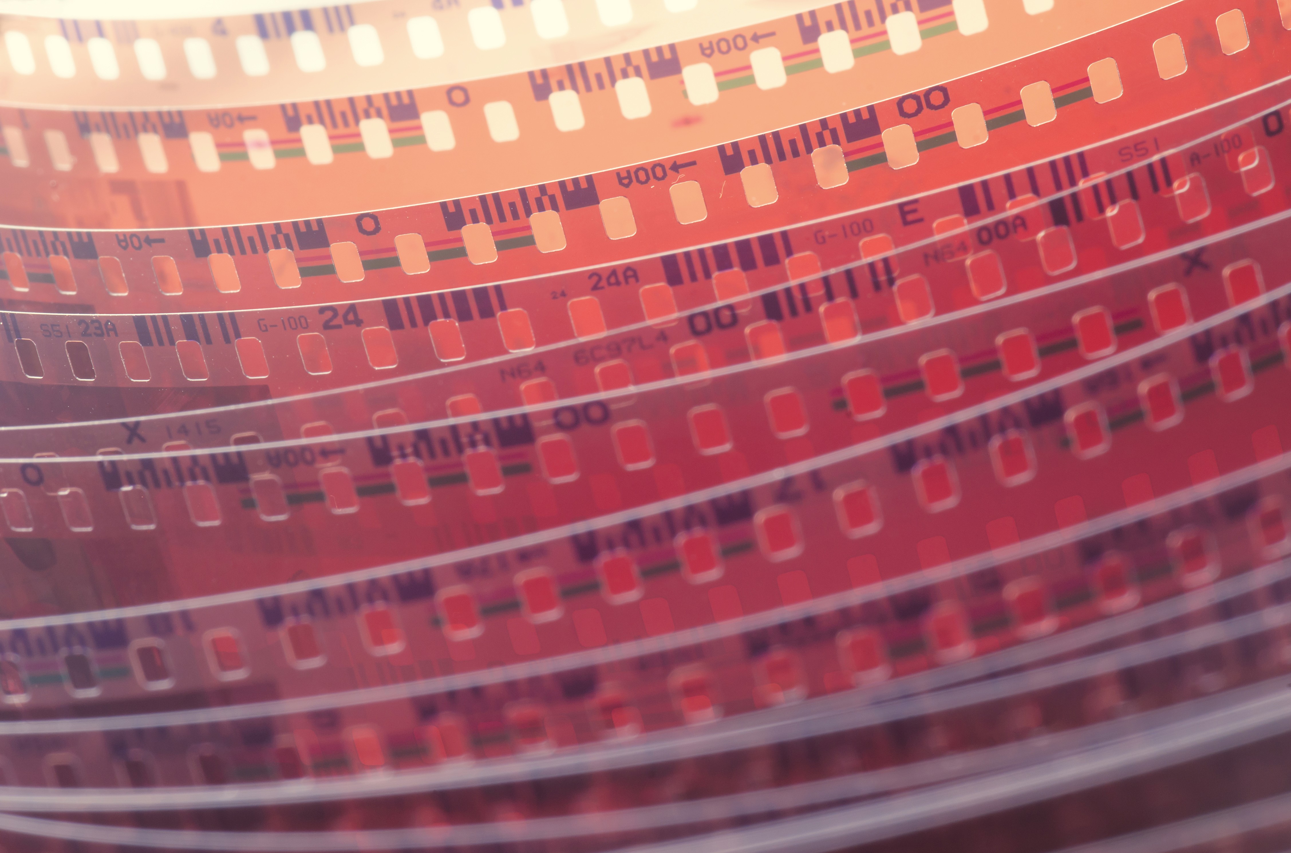 Developed C41 Colour Negatives