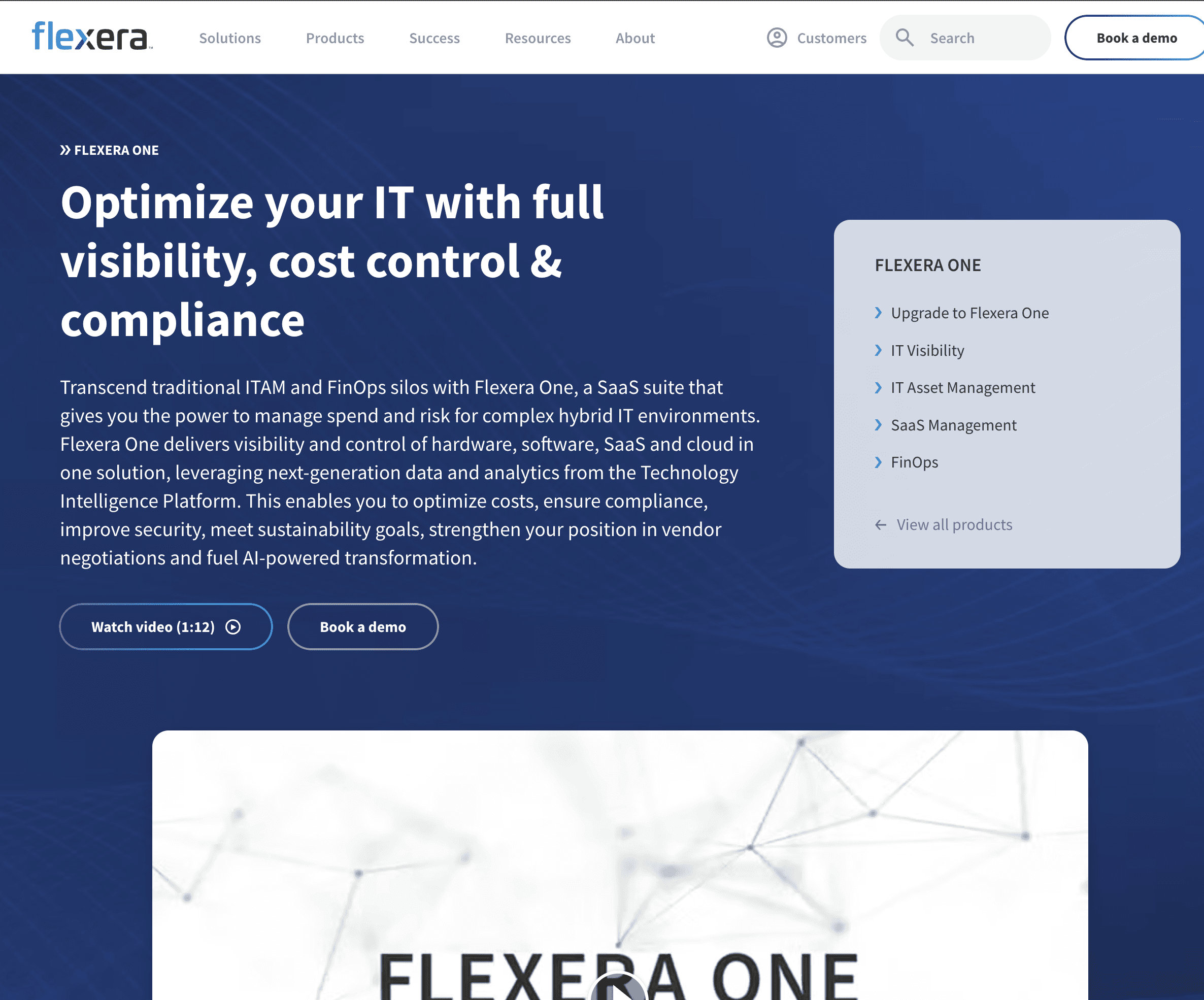 Flexera One
