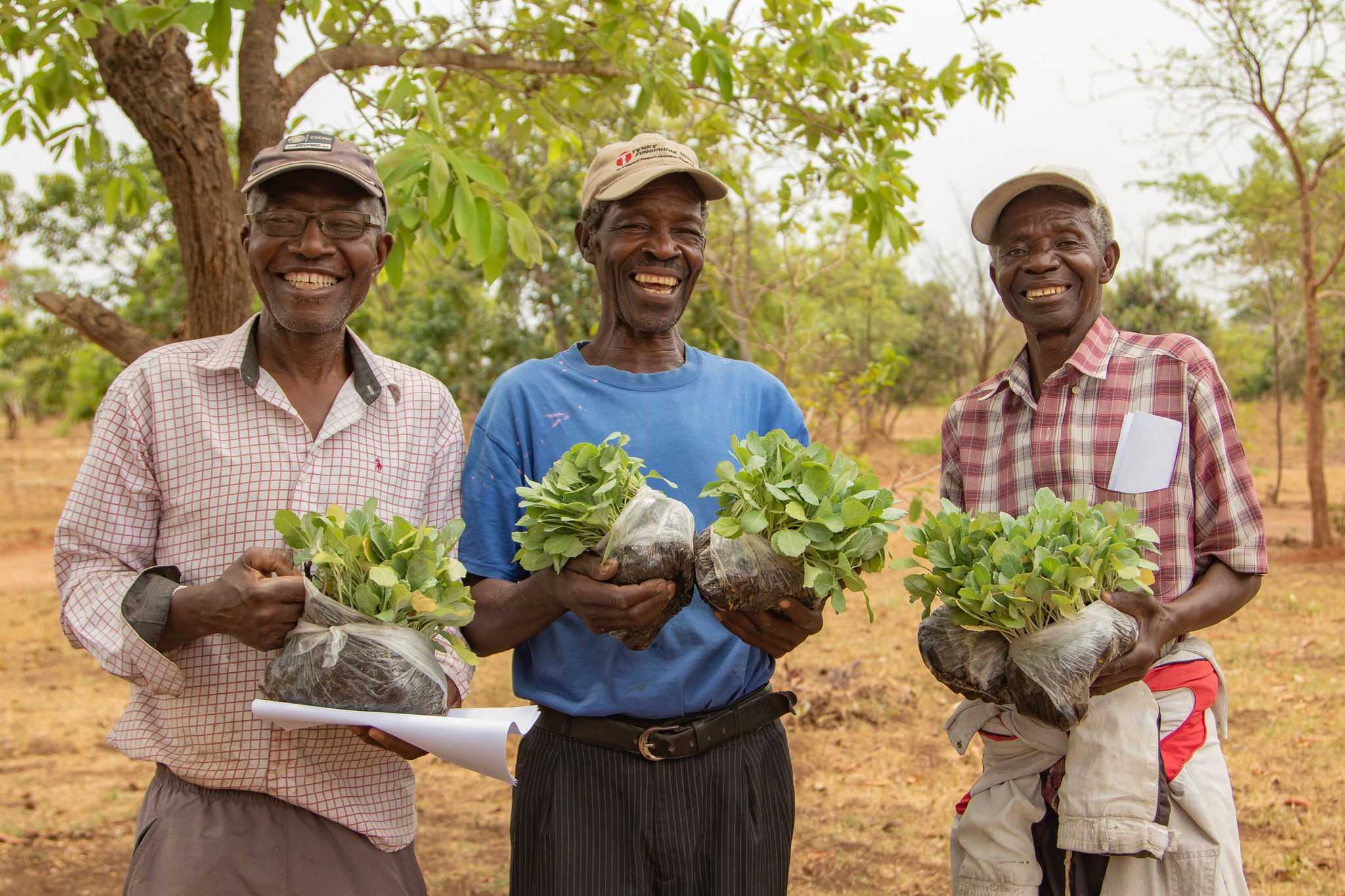 an overview projects we support