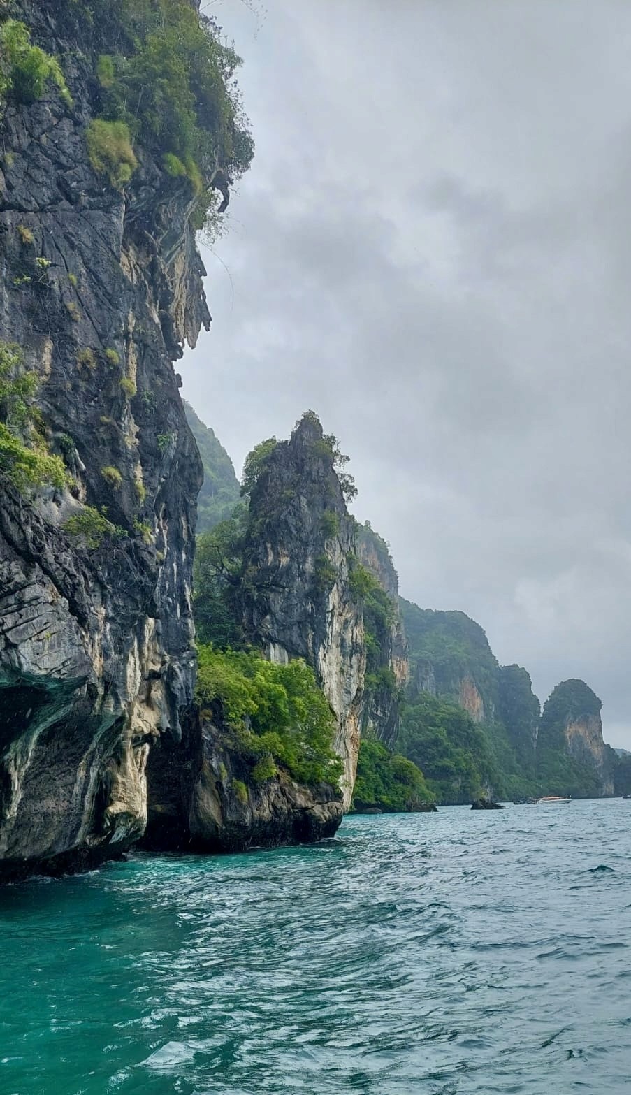 green chairs under umbrellas on shore