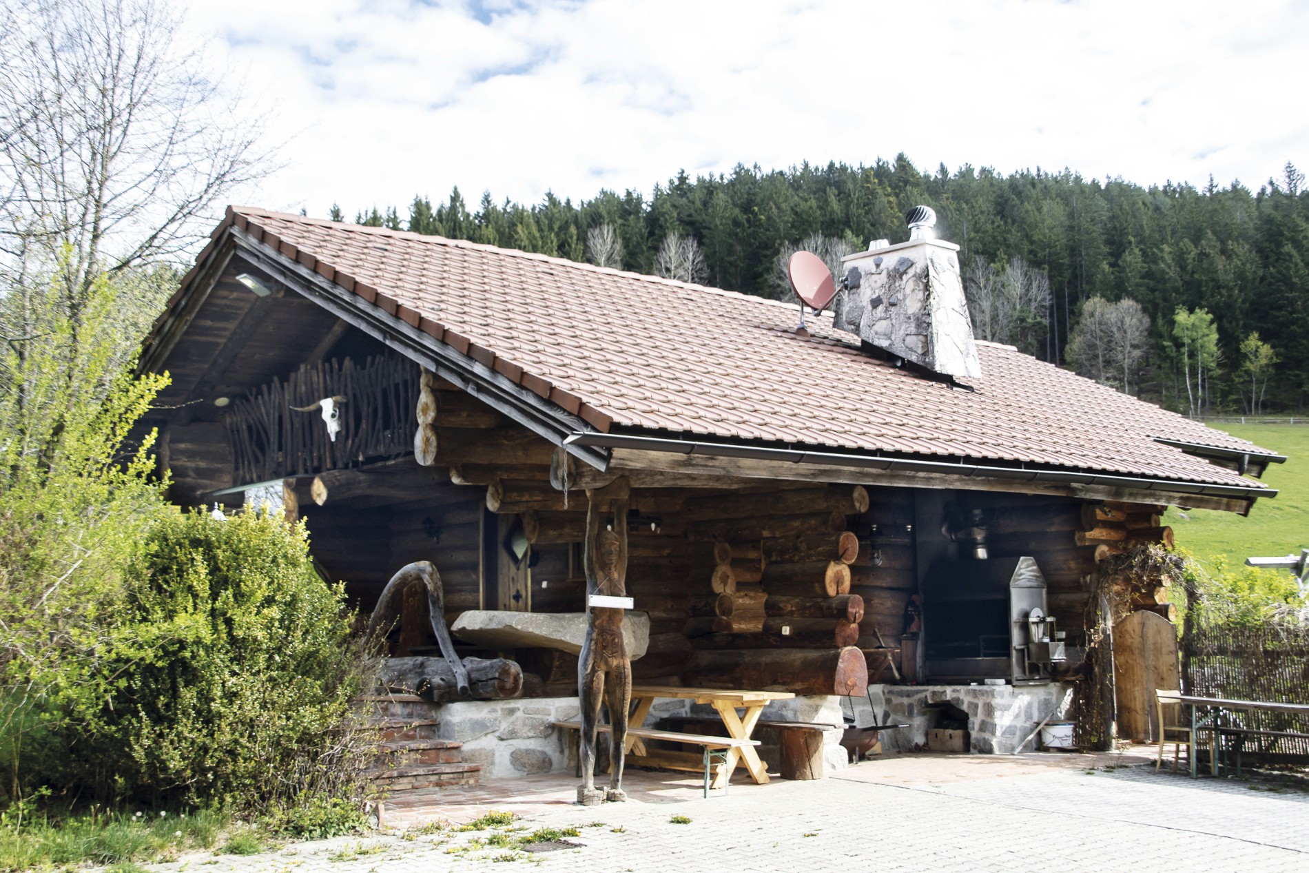 Close-up of lush, dark green leaves, some glossy and wet, against a muted background.