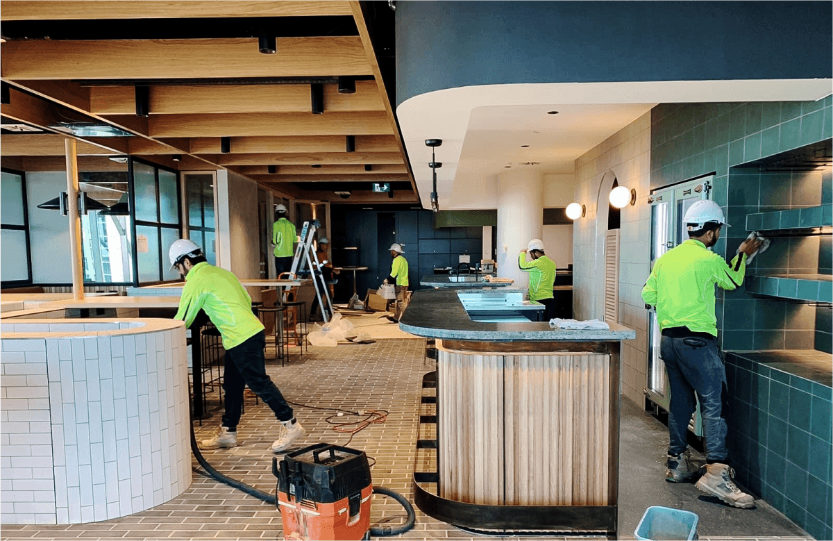 Pink tulip or flower bud on a thin green stem