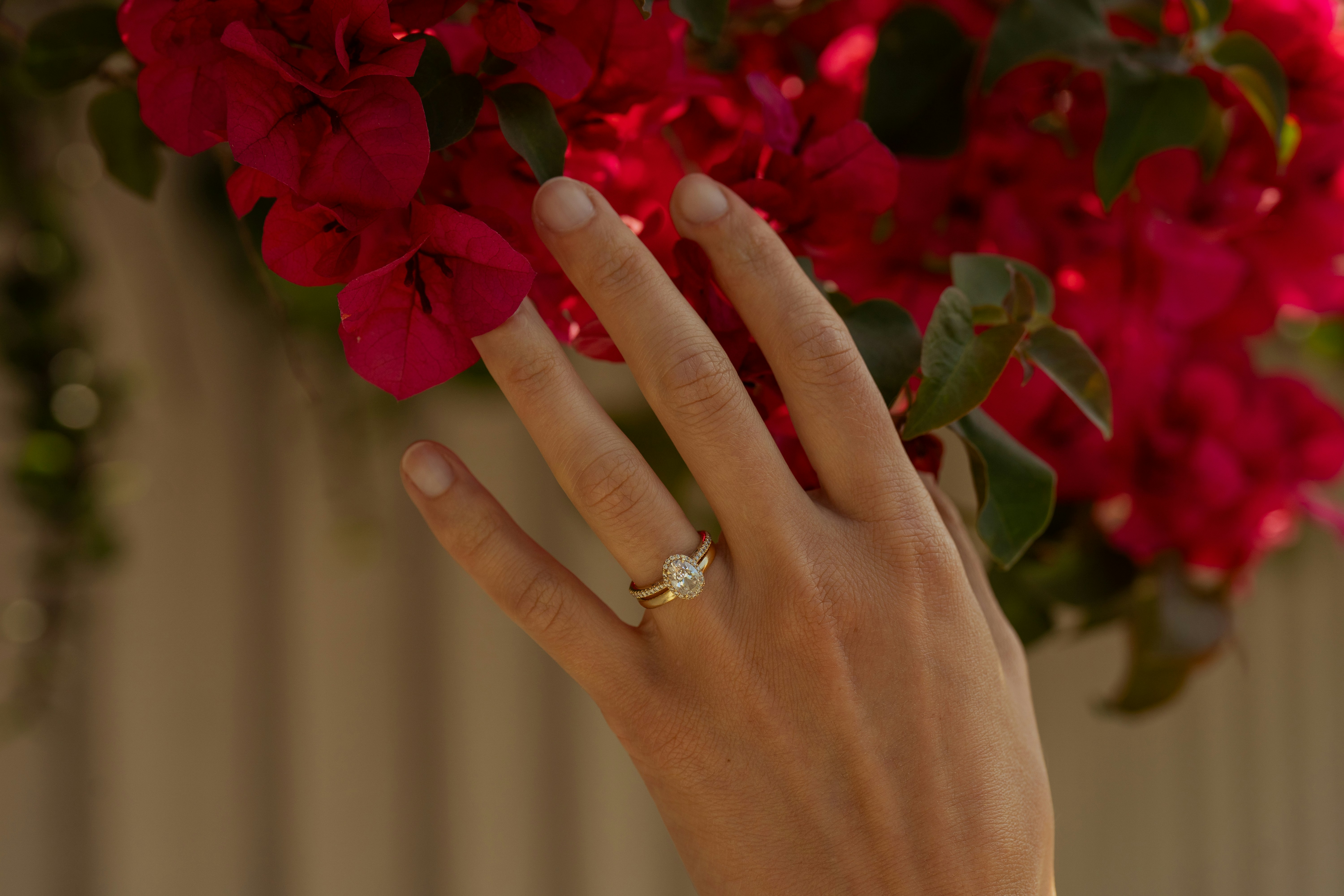 Hands holding wedding rings