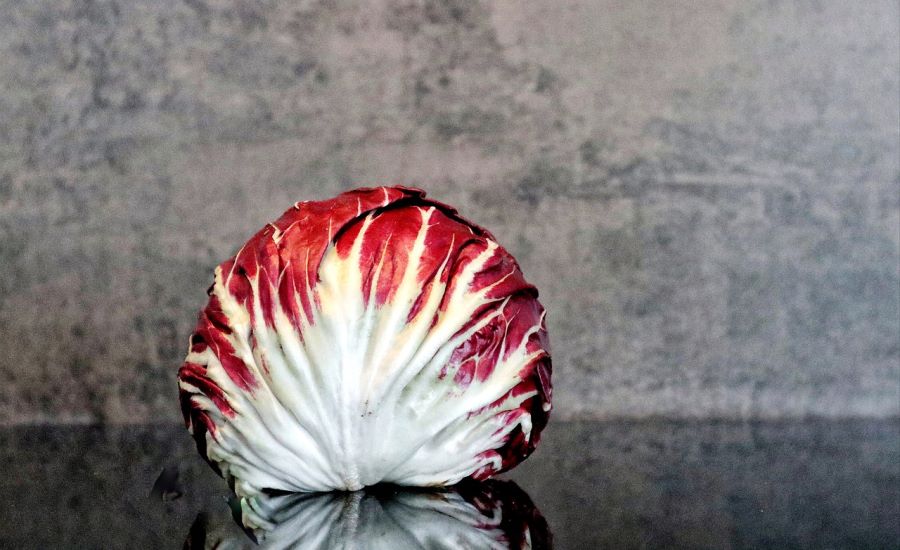 Radicchio e protezione del cuore
