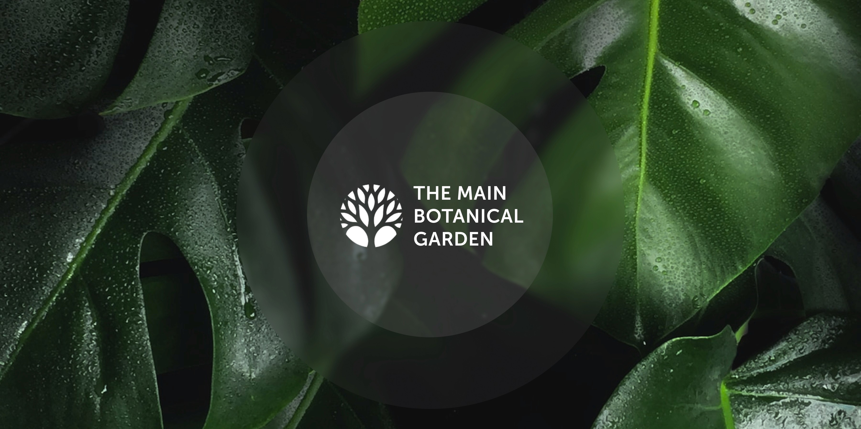 Image of a computer and keyboard on a desk