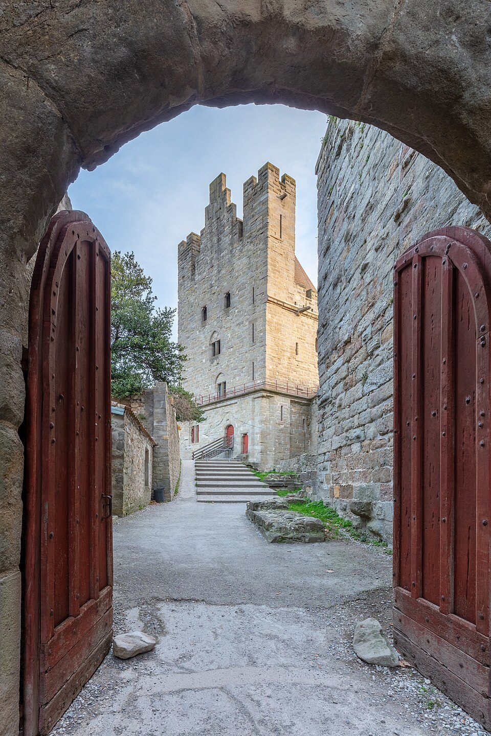 a tree with pink flowers in front of a store