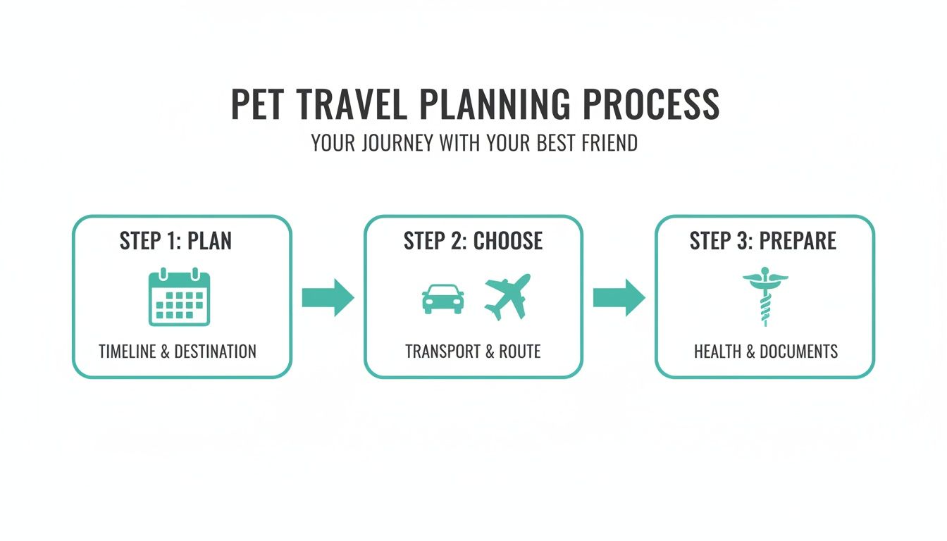 Infographic detailing a 3-step pet travel planning process: Plan, Choose, Prepare, with relevant icons.